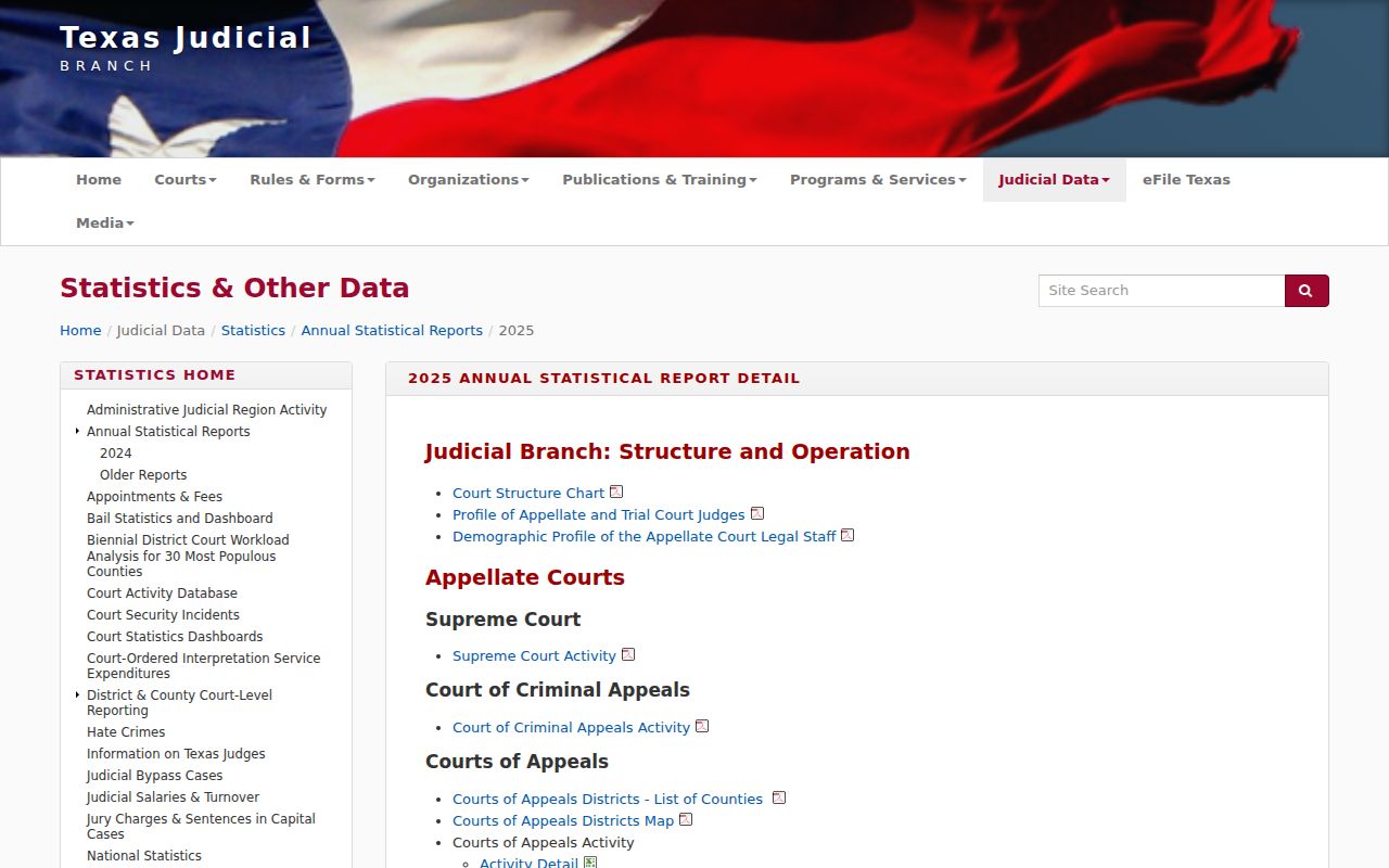 Texas courts annual reports page for aggregate Shackelford County traffic context